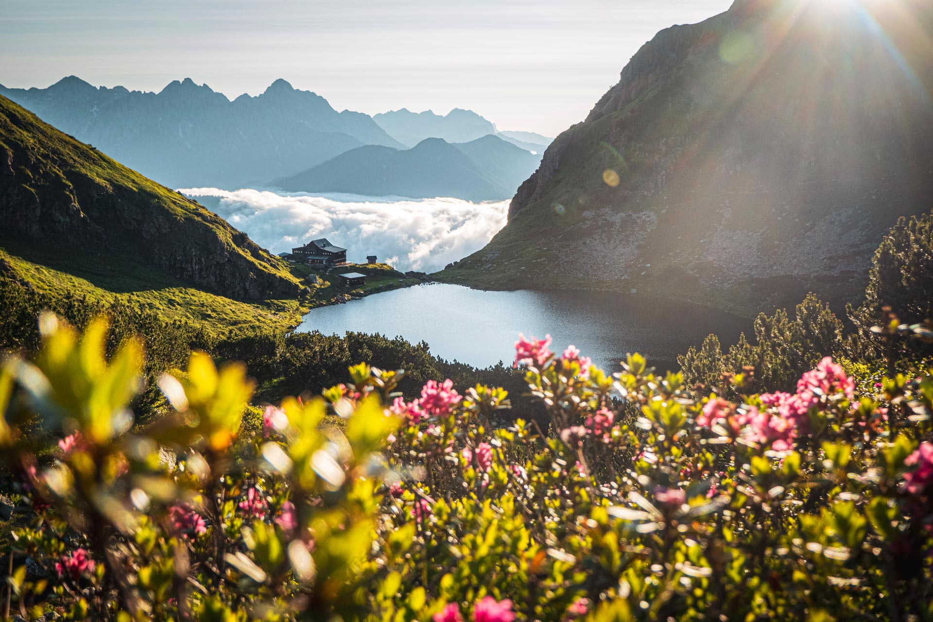 Wildseelodersee im Sommer